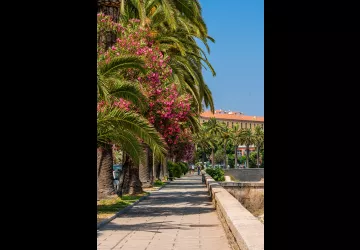 Corse du sud © Robert Palomba