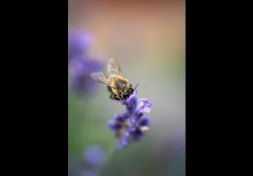  © Unsplash -  Anastazja Kuroczycka