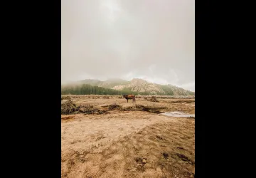  © Pexels Agence Mald